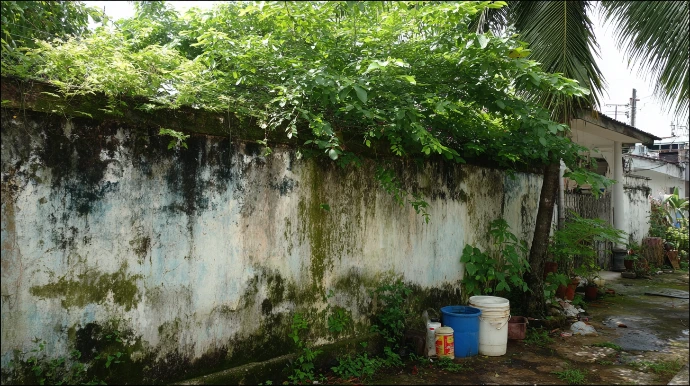 neglected exterior stone wall showing multiple problems
