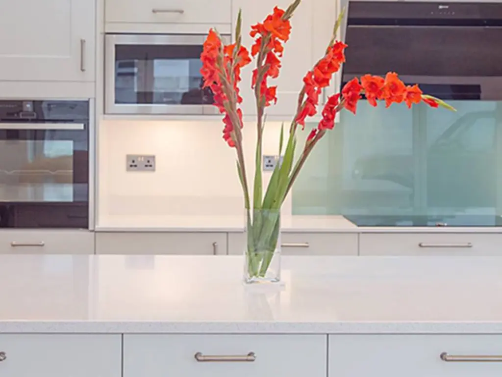 Blanco Maple14 (7).webp