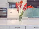 Blanco Maple14 (7).webp