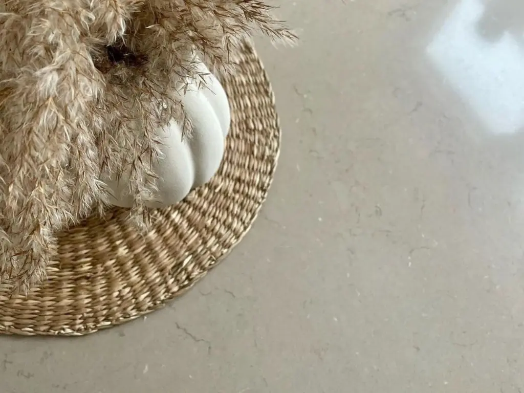 Coral Clay (6).webp