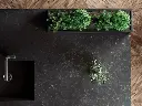 Corktown 6.webp
