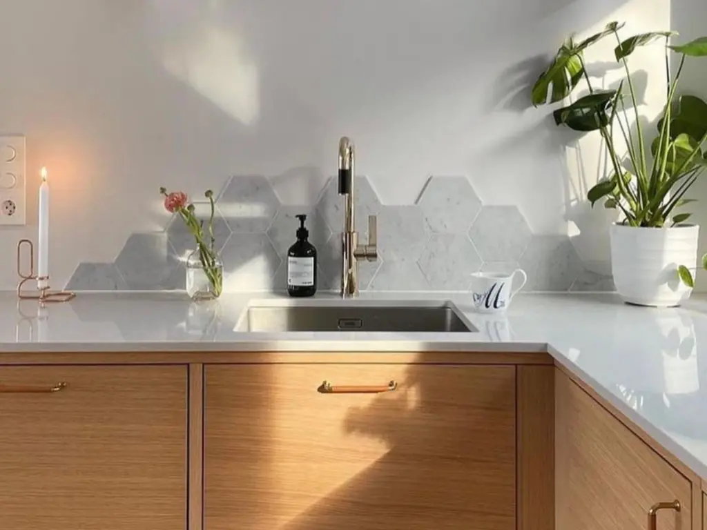 Desert Silver (9).webp