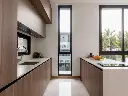 Desert Silver (5).webp