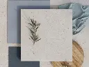 Motion Grey 1.webp