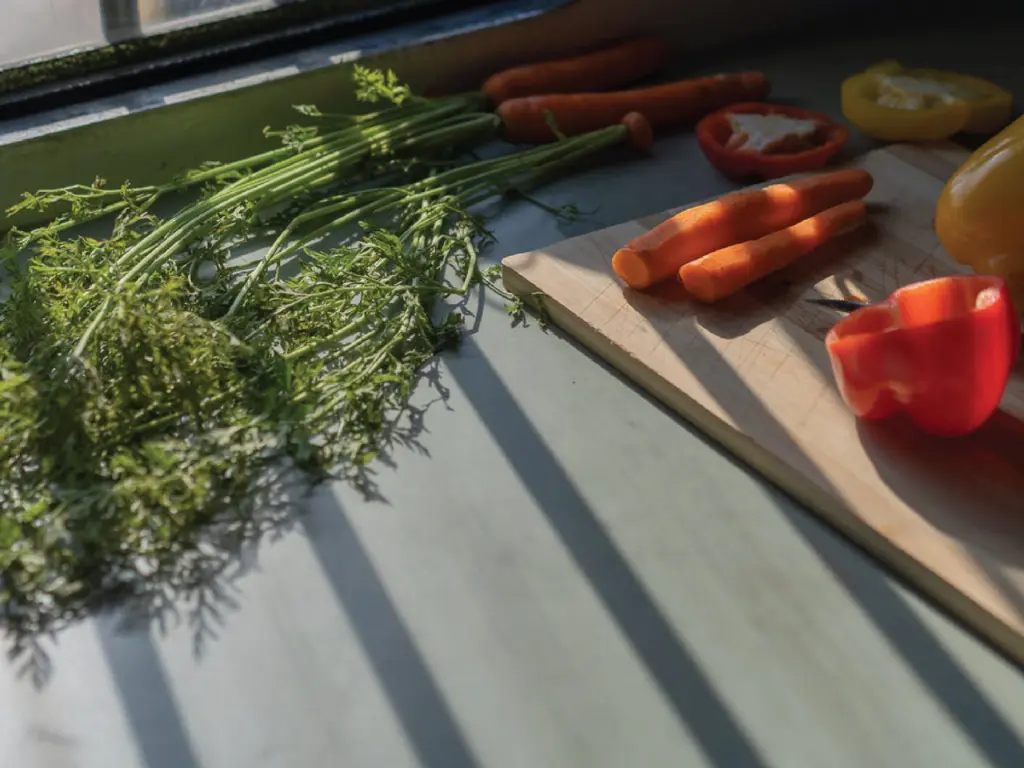 Posidonia Green (2).webp