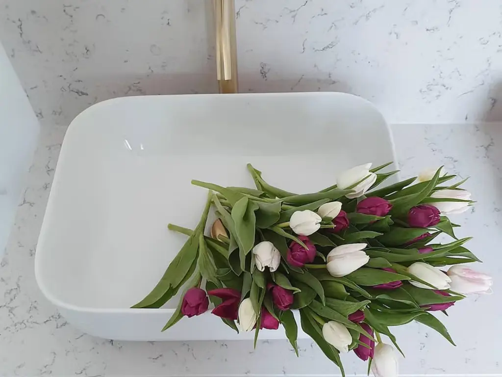 Snowy Ibiza (16).webp