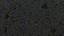 Purple Galaxy (SF)