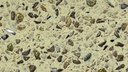 Beige Gold (SF)