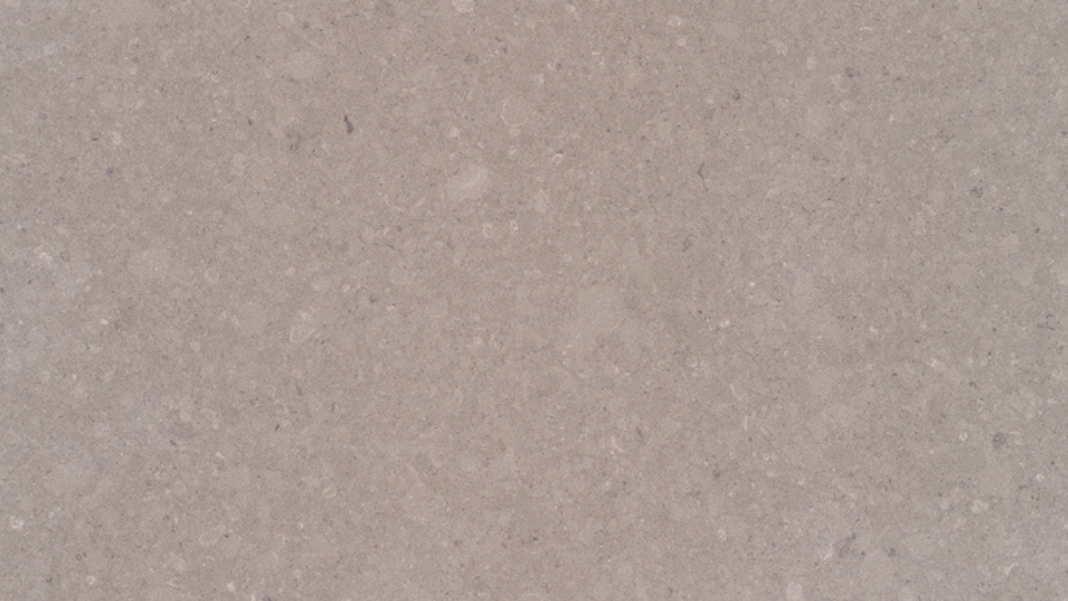 Shitake 4230 (SF)