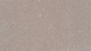 Shitake 4230 (SF)
