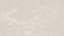 Cloudburst Concrete 4011 (SF)