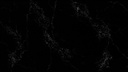 Empira Black 5101 (SF)
