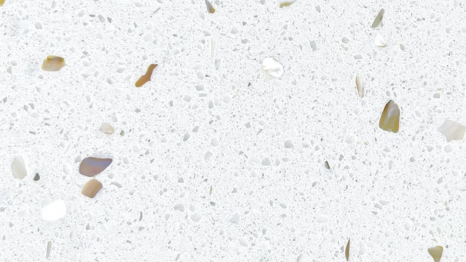 [Si-QS-1001P-SF] Shell King (SF)