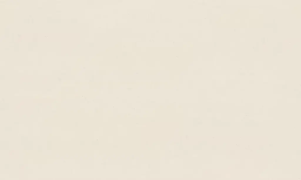 Linen Cream (SF)