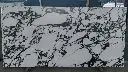 Frost Mark