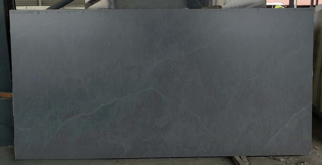 Salvia Grey