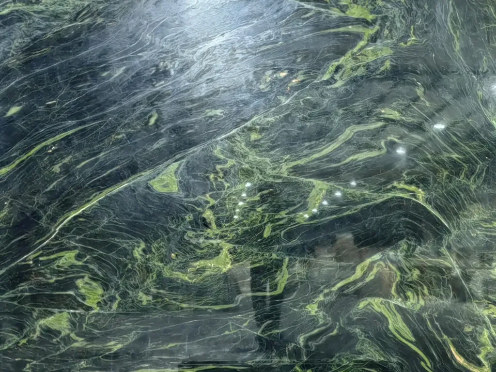 Verde Fusion