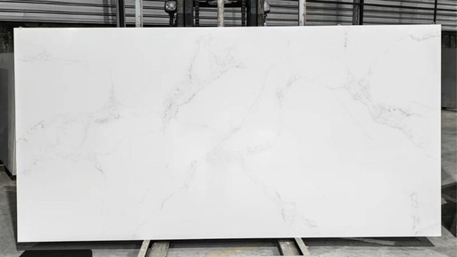 [QS-802057P-SF] Venatino (SF)