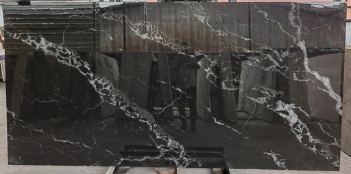 Black Fossil (SF)